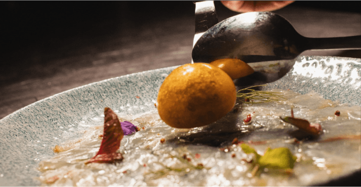 Doltone Hospitality Group, an acclaimed and prestigious Australian-owned and managed hospitality company with over 30 individual branded venues, was appointed by the Opera House as the operator of its Western Foyers restaurant and theatre bars for a five-year term following a public tender process.